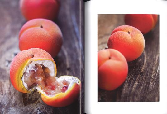 Fruits - the art of pastry - ITALIAN EDITION