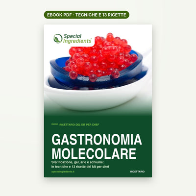 Gastronomia Molecolare – Ricettario del kit per chef - Ebook PDF