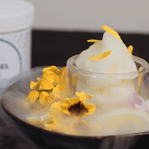 Ginger Sorbet With Citrus Mist Recipe made with Special Ingredients Silk Gel
