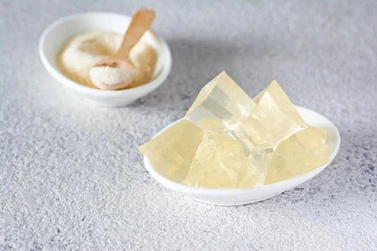 La storia affascinante e gli usi dell’Agar Agar: l’alternativa naturale alla gelatina - Special Ingredients