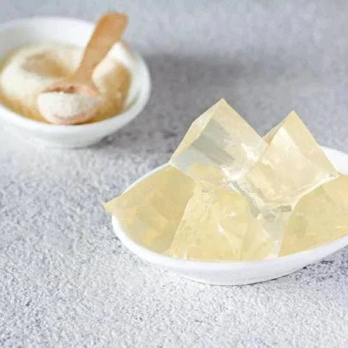 La storia affascinante e gli usi dell’Agar Agar: l’alternativa naturale alla gelatina - Special Ingredients