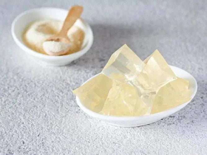 A história e as utilizações do agar-agar: uma alternativa natural à gelatina