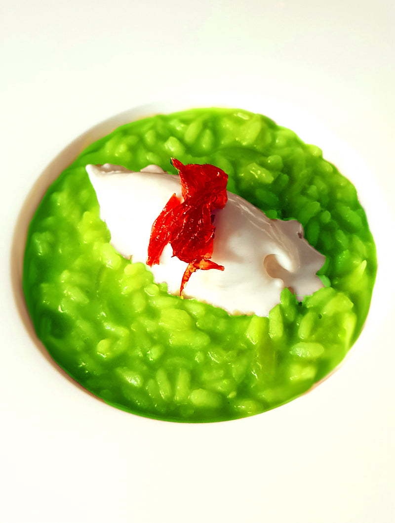 Gastronomie Moderne Vol. 1 - Chef Roberto Revel - Livre broché