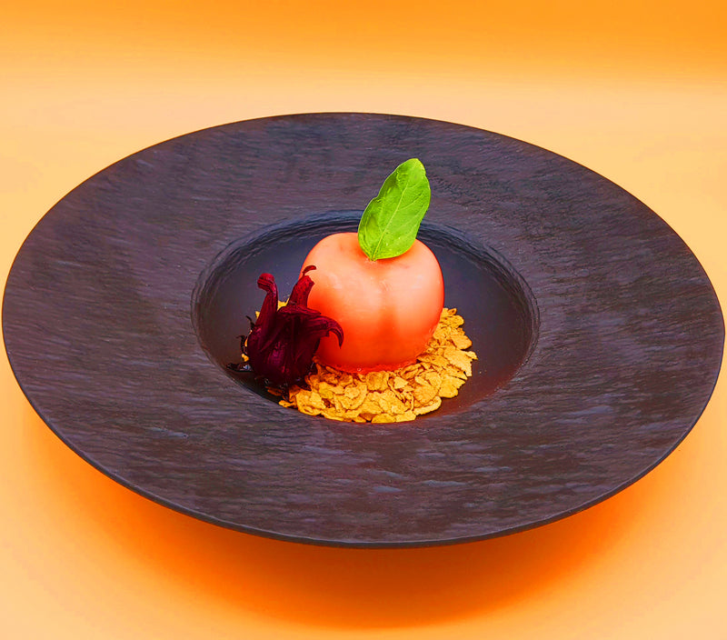 Gastronomie Moderne Vol. 1 - Chef Roberto Revel - Livre broché