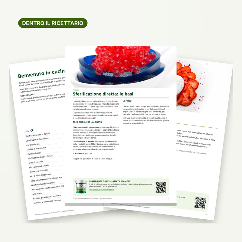 Gastronomia Molecolare – Ricettario del kit per chef - Ebook PDF