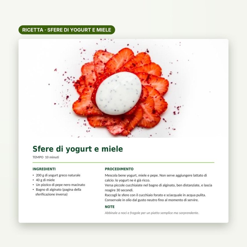 Gastronomia Molecolare – Ricettario del kit per chef - Ebook PDF