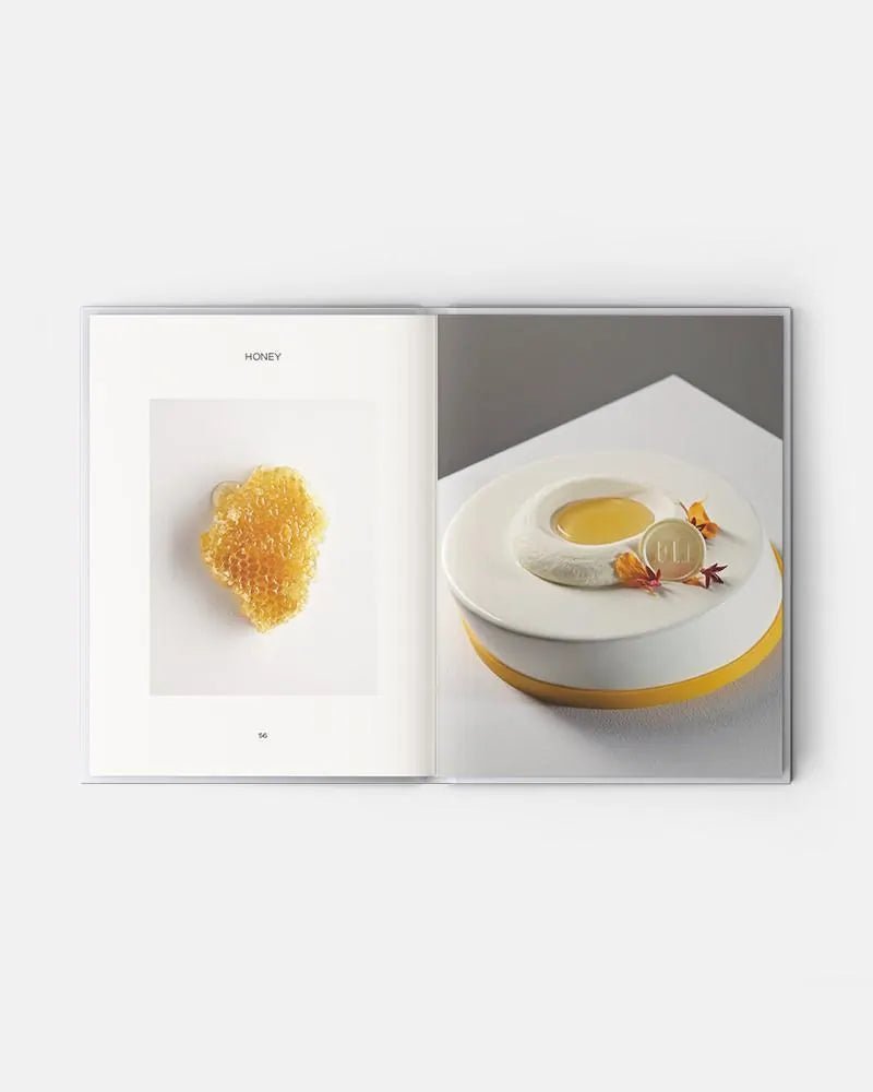 PRISME - Frank Haasnoot ÉDITION ANGLAISE 