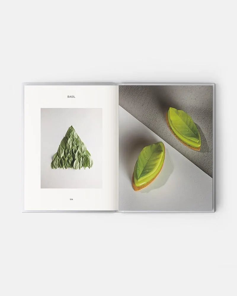 PRISME - Frank Haasnoot ÉDITION ANGLAISE 