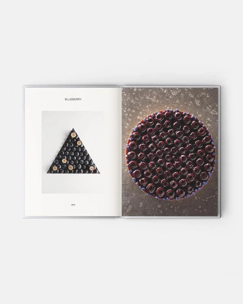 PRISME - Frank Haasnoot ÉDITION ANGLAISE 