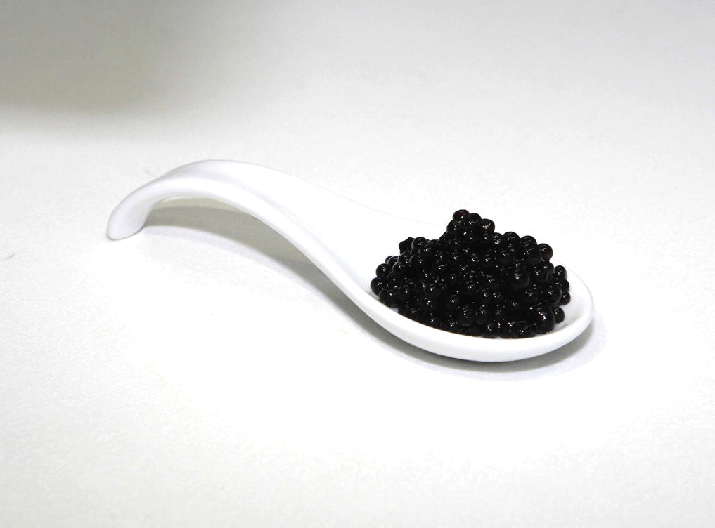 Agar Agar Powder 100g - Special Ingredients caviale di aceto balsamico