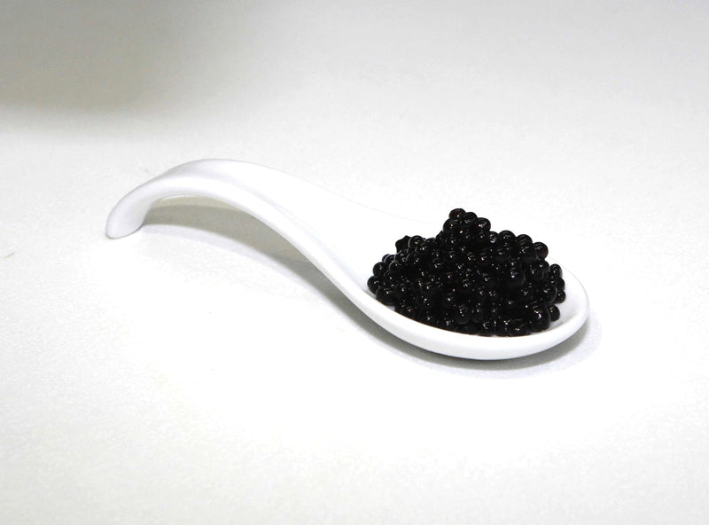 Agar Agar in polvere 500g - Special Ingredients - 6