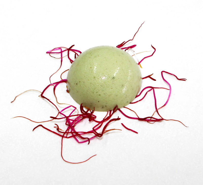 Carrageenan Kappa 100g - Special Ingredients