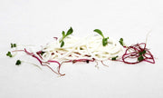 Carrageenan Kappa 250g - Special Ingredients