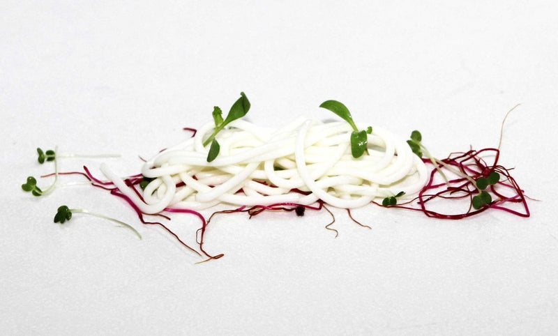 Carrageenan Kappa 250g - Special Ingredients